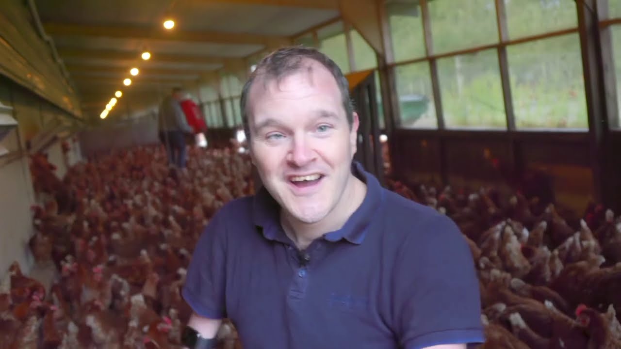 Millions Of Insects On The Chicken Farm - BBC Click