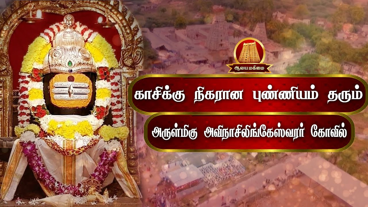🔴காசிக்கு நிகரான புண்ணியம் தரும் அவிநாசியப்பர் கோவில் | Avinashi Temple History In Tamil | Avinashi