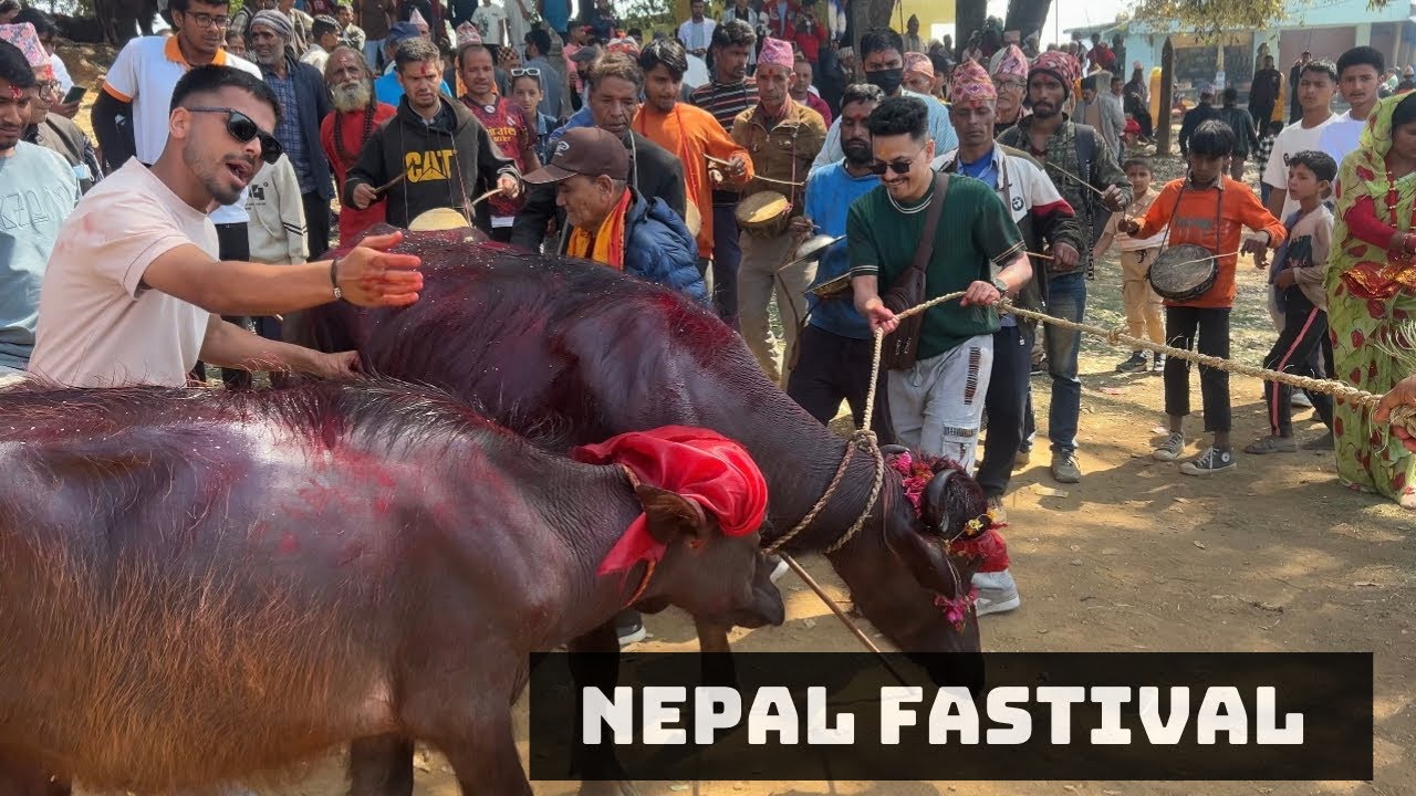 Biggest Faistival of NEPAL Rangkatte Jaat  DEHIMANDU BAITADI || #dehimandu #nepal