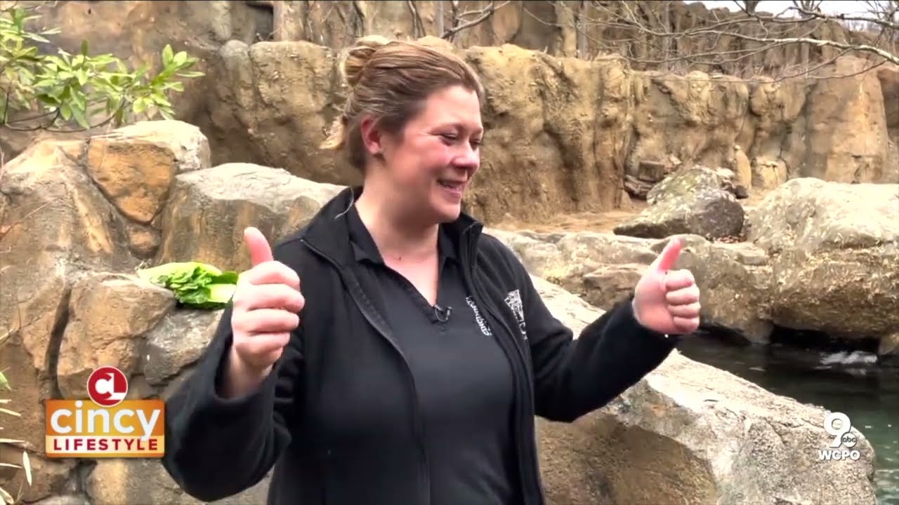 Happy 6th Birthday Fiona! | Cincy Lifestyle