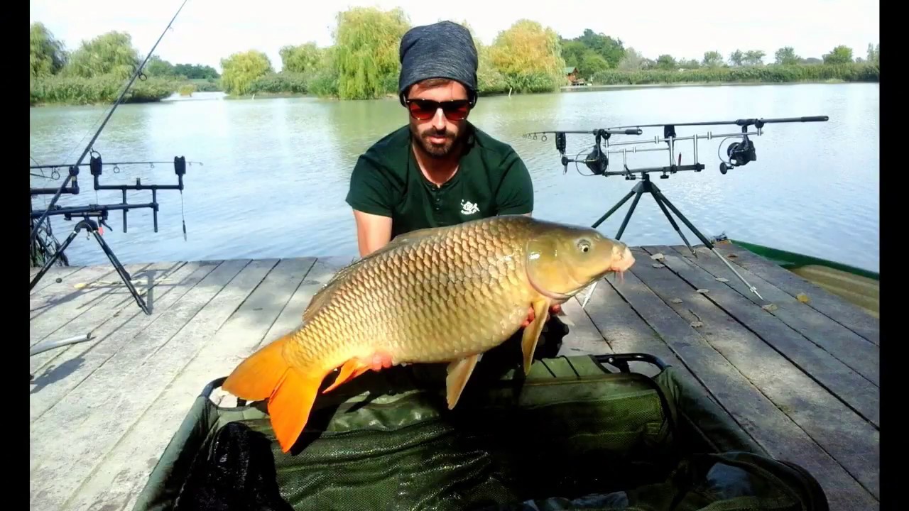 Eventus Boilies A Fish Arénán