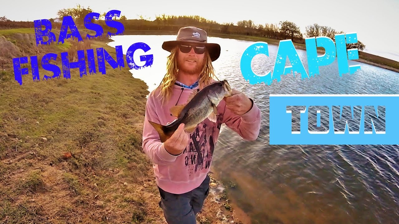 Bass Fishing Cape Town