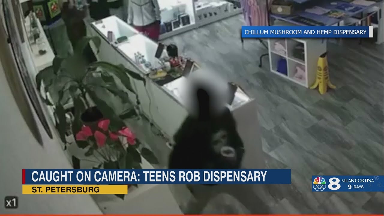 Caught on Camera: Repeat Theft at St. Petersburg Hemp Dispensary
