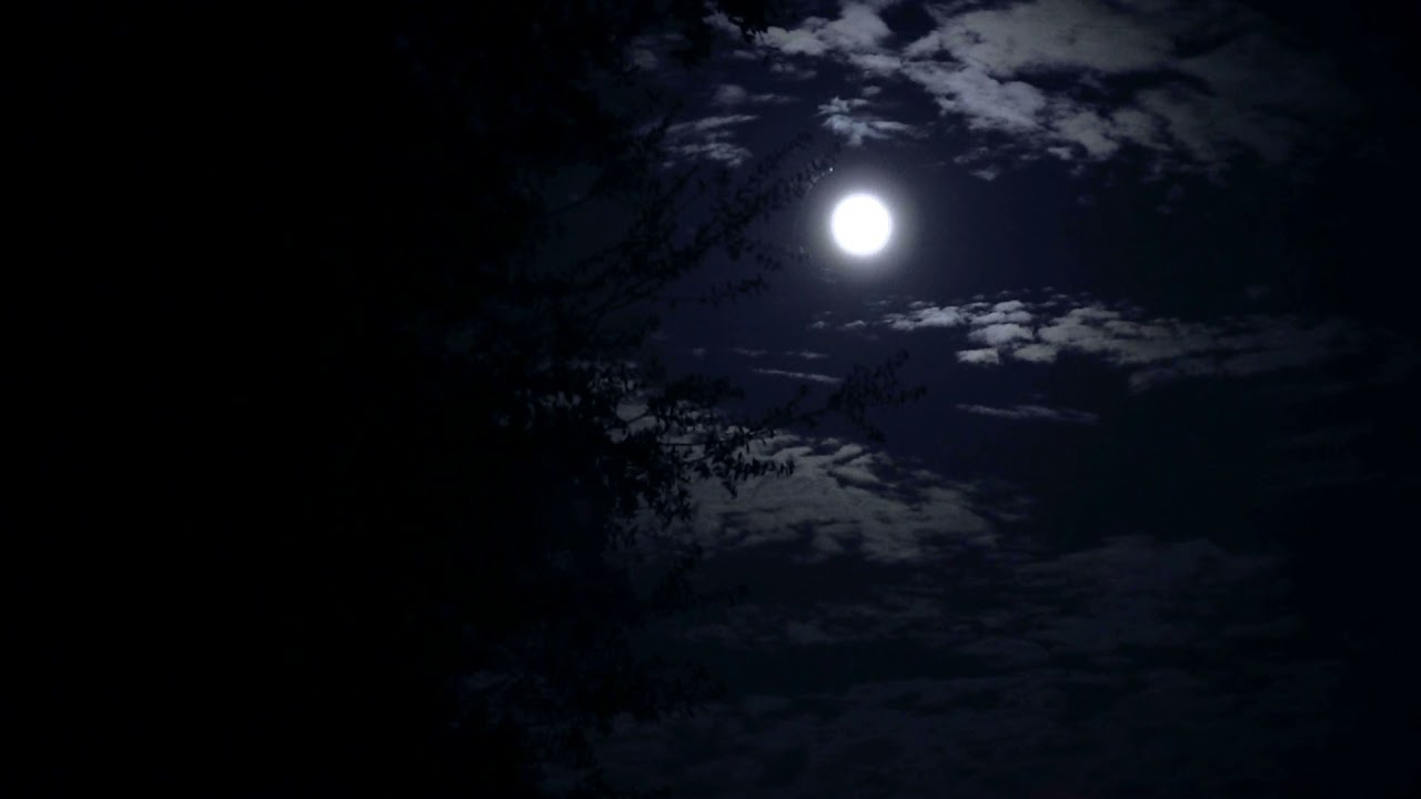 Free Aesthetic Blue Moon2020 live HDvideo No Copyrights|Free HD videos| free stock video photography