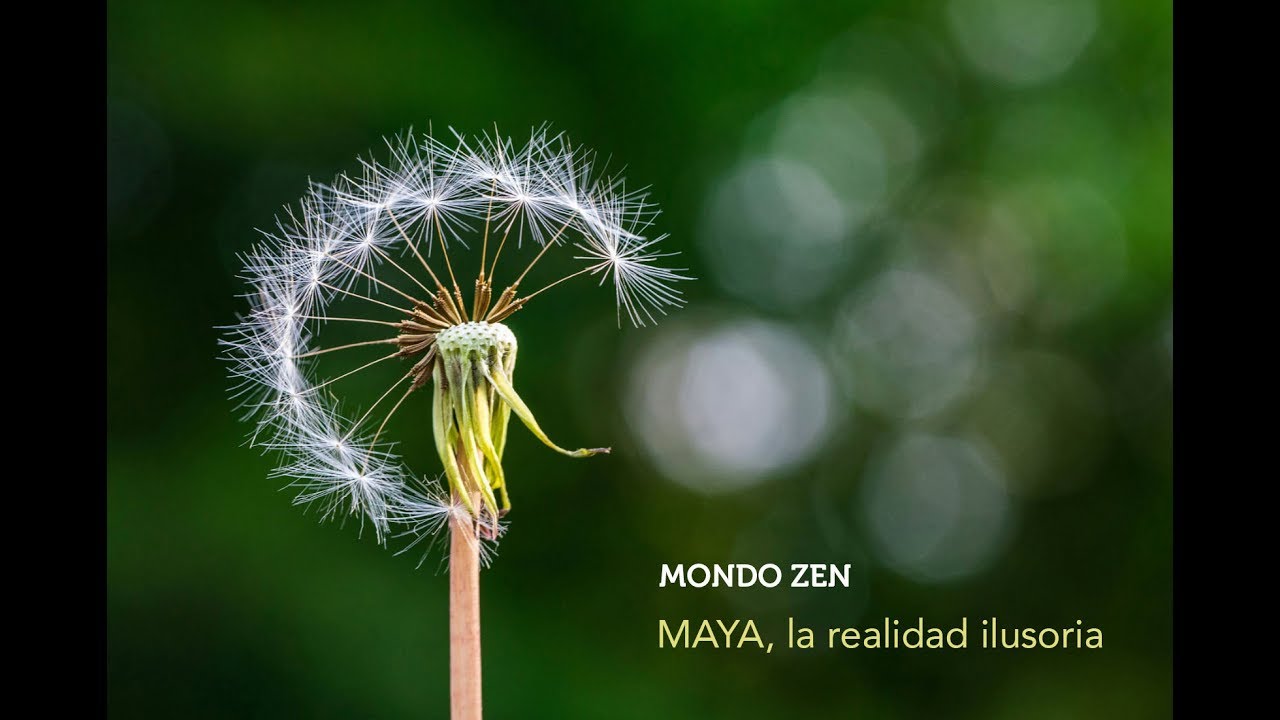 MAYA, LA REALIDAD ILUSORIA