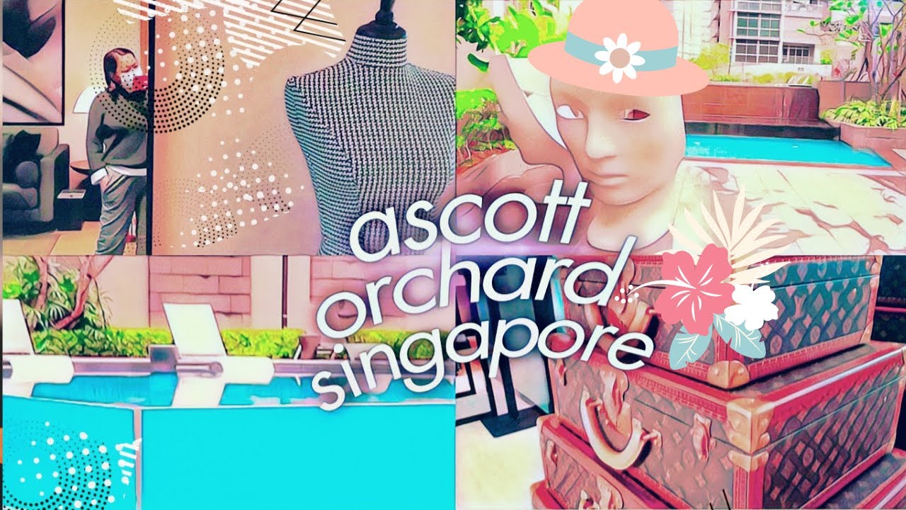 Ascott Orchard Singapore &bull;Walkthrough & Room Tour&bull;Singapore Hotels/Suites/Residences #TheWickeRmoss​