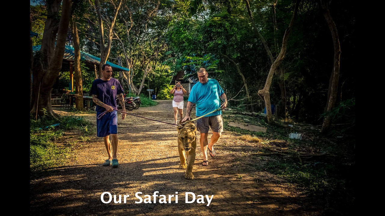 Safari Day & Temple of the Emerald Buddha and Grand Palace