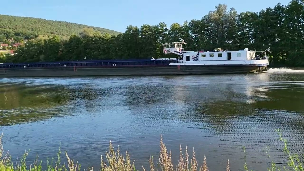 Koppelverband Tokko/Sado in Langenprozelten zu Berg 