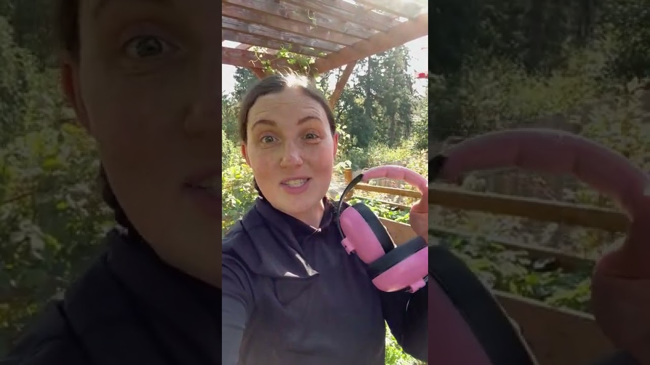 Before You Go To Disneyland 2022 Tips - Ear Protection 