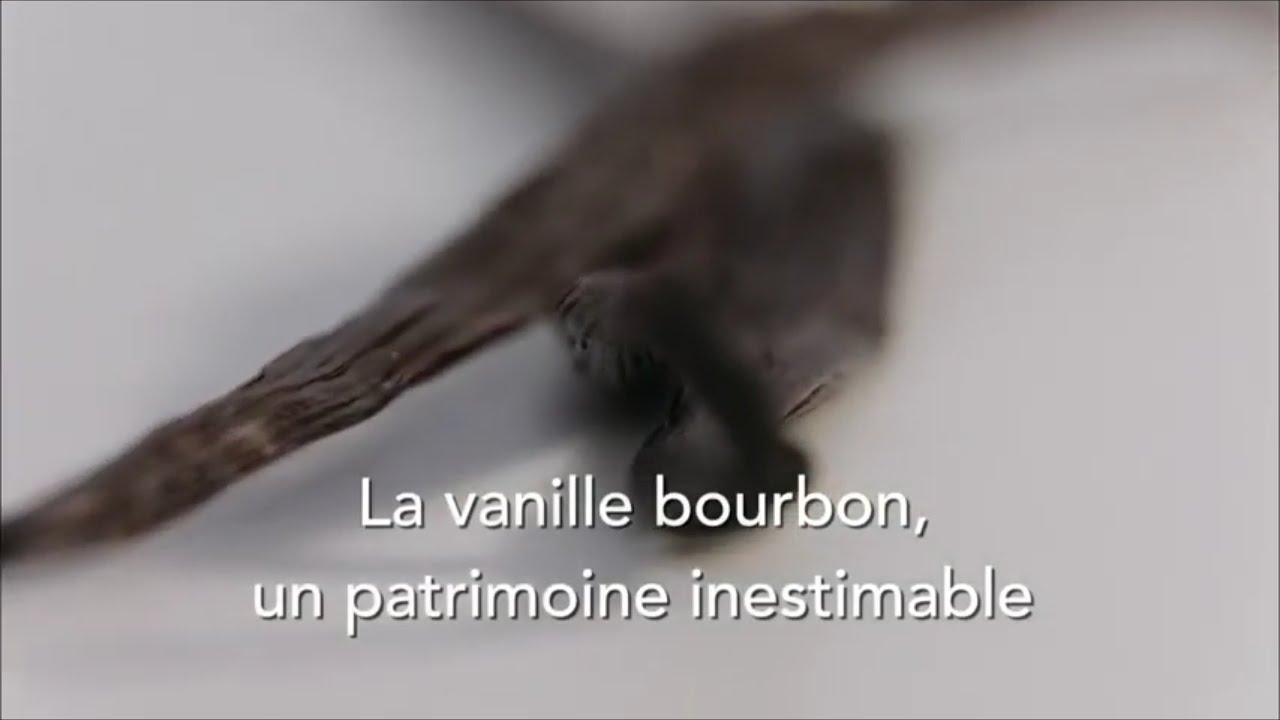 La vanille bourbon, un patrimoine inestimable . &icirc;le de la R&eacute;union .