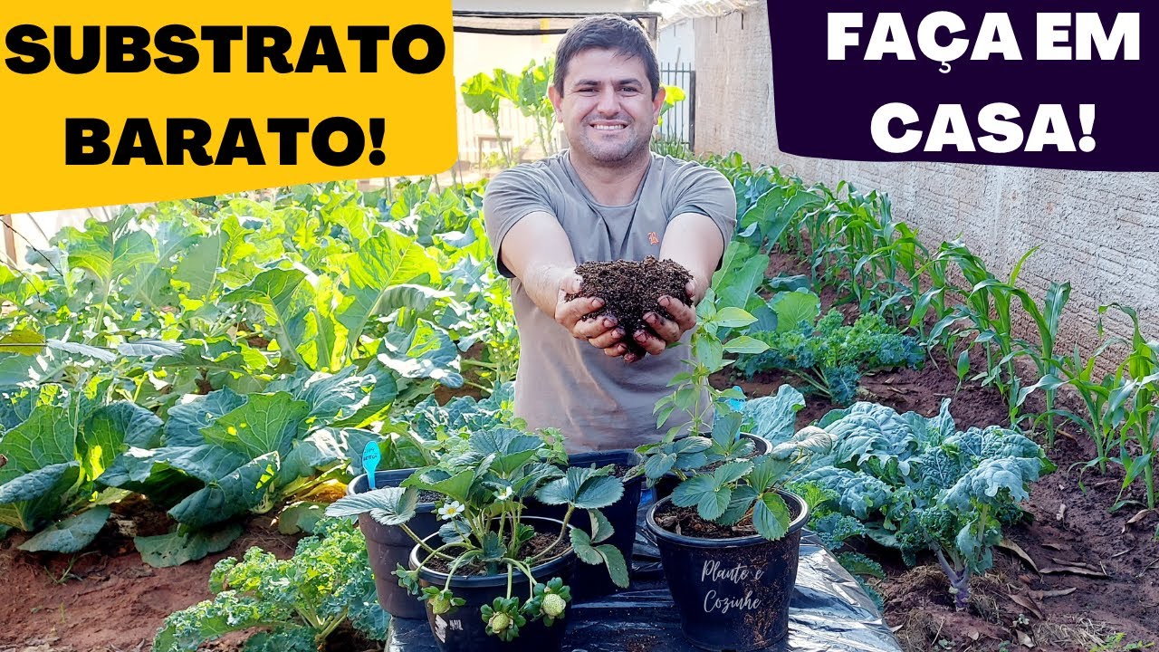 O QUE &Eacute; SUBSTRATO para as PLANTAS e COMO FAZER em casa GASTANDO POUCO (Ep179)