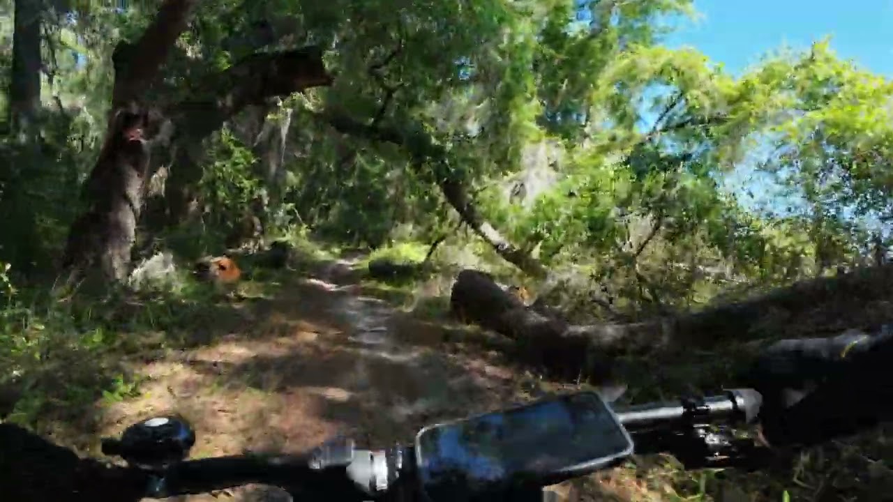 San Felasco Hammock Preserve State Park pt 1