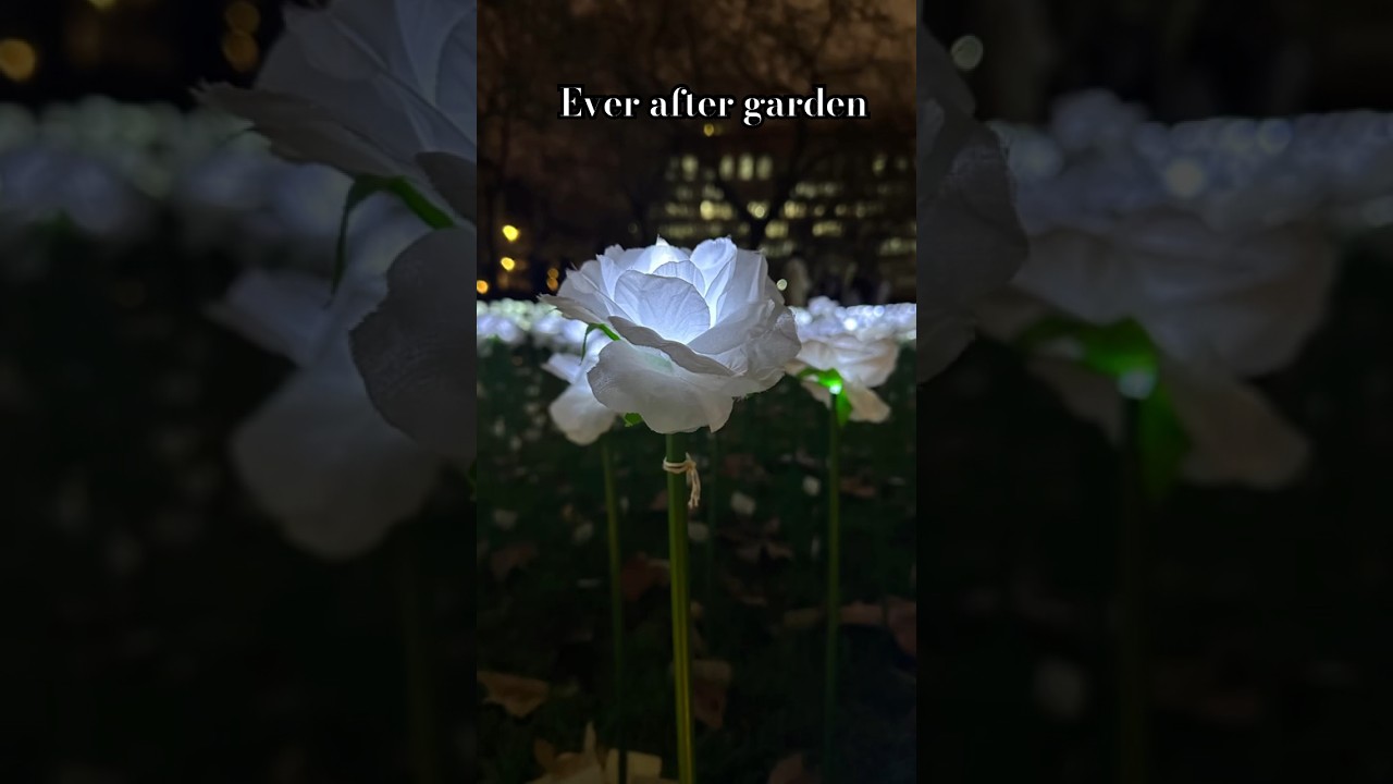 Ever After Garden #christmas #ytshort #london #vlogvideo #viralshort @London_dairies21
