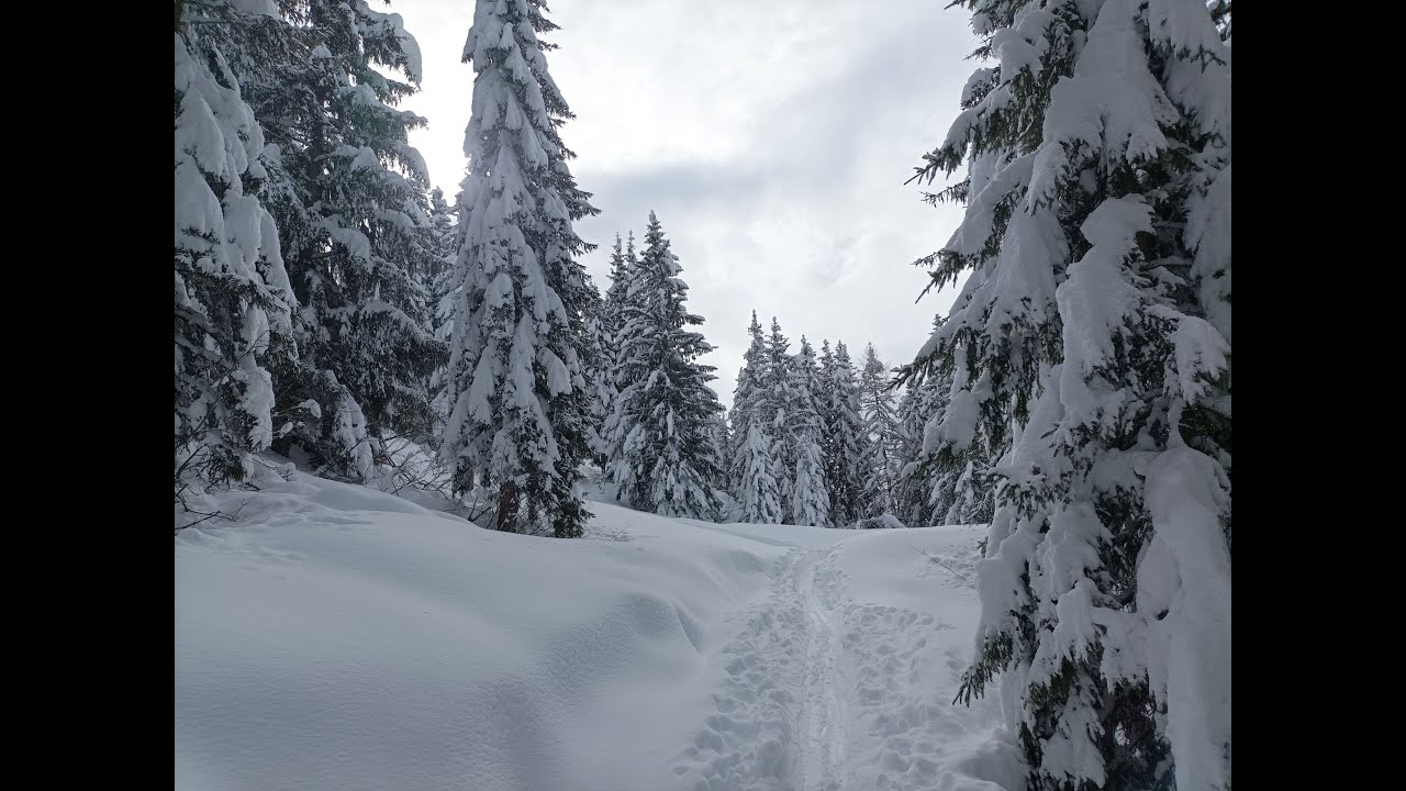 TUMEL Aprica 26 02 24