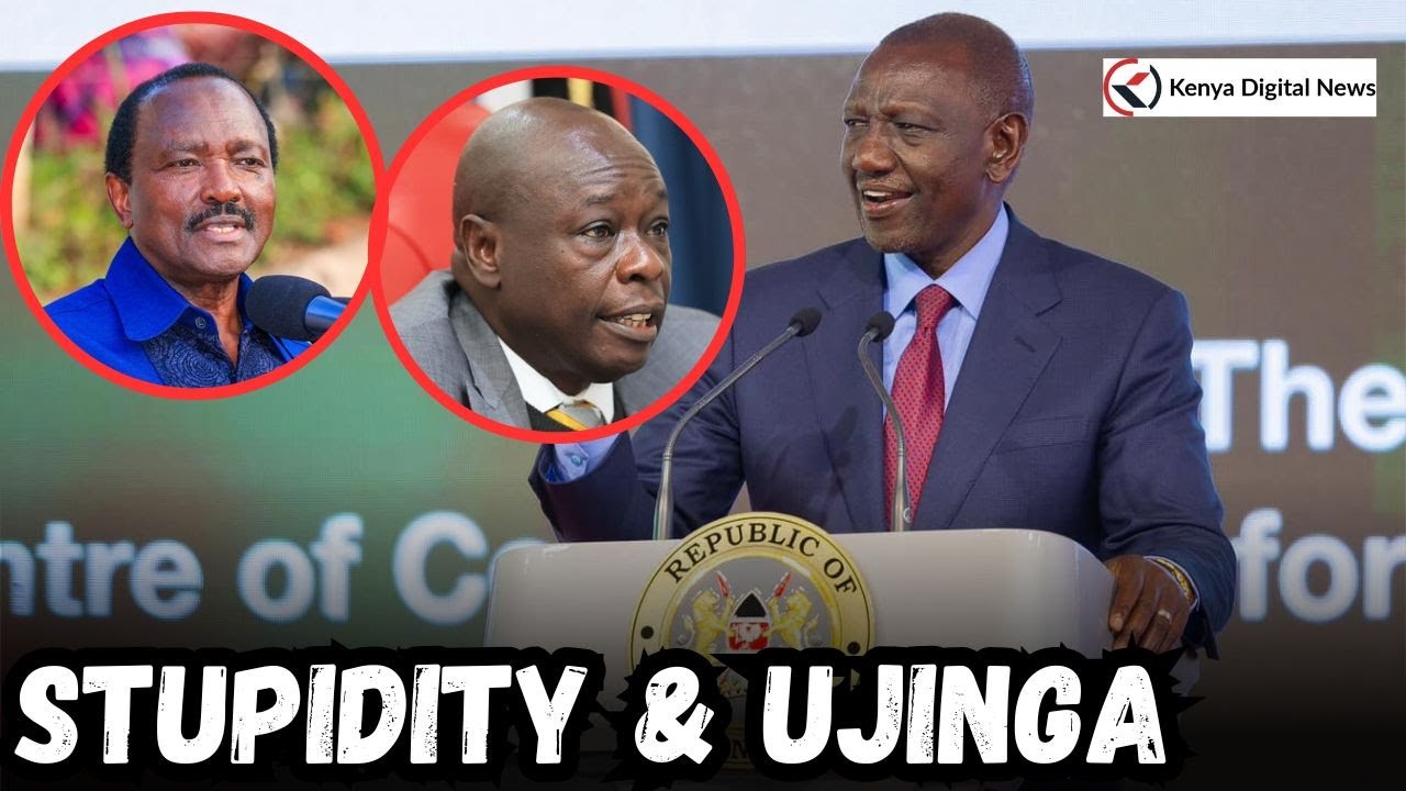 STUPIDITY! Ujinga, Siasa ndogo, Wanazurura kwa Kwa duka wakiongea Ovyo, siasa ndogo na Ukabila, Ruto