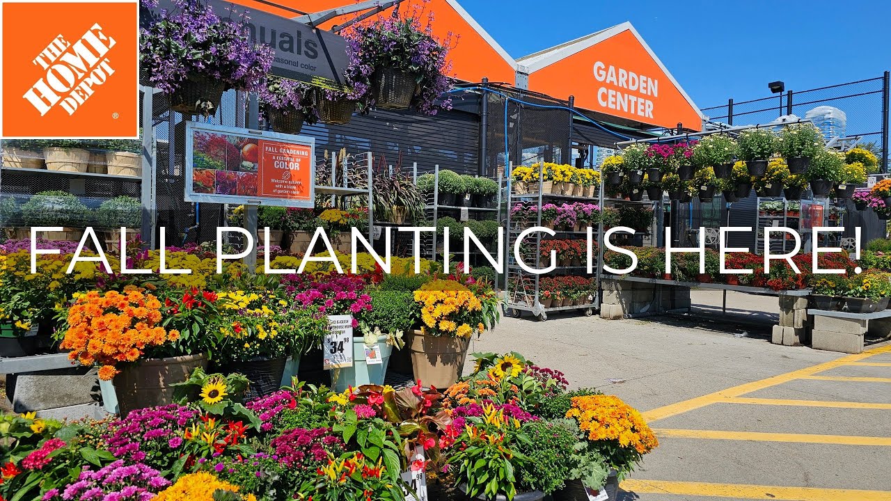 Home Depot Inventory September 2025. Ready for Fall Planting! Plant Shopping