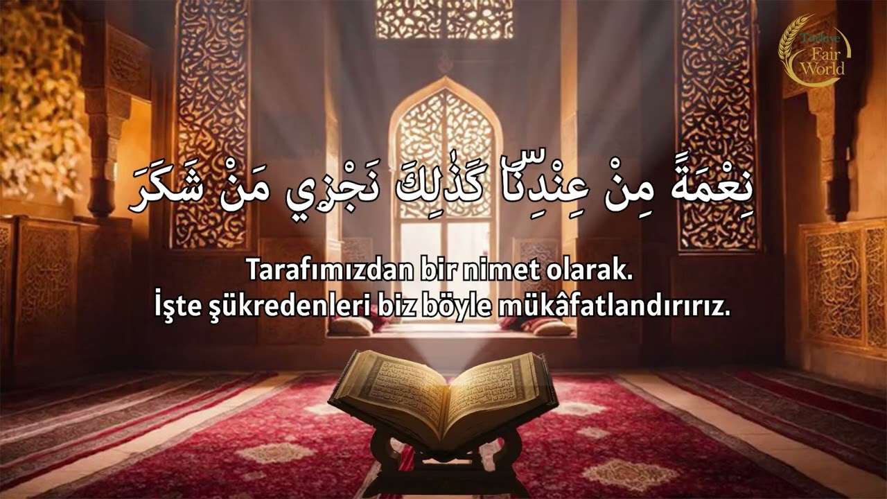 MUHAMMED EL FAKİH -054 Kamer Suresi #mohammedalfaqih #quran #rahman