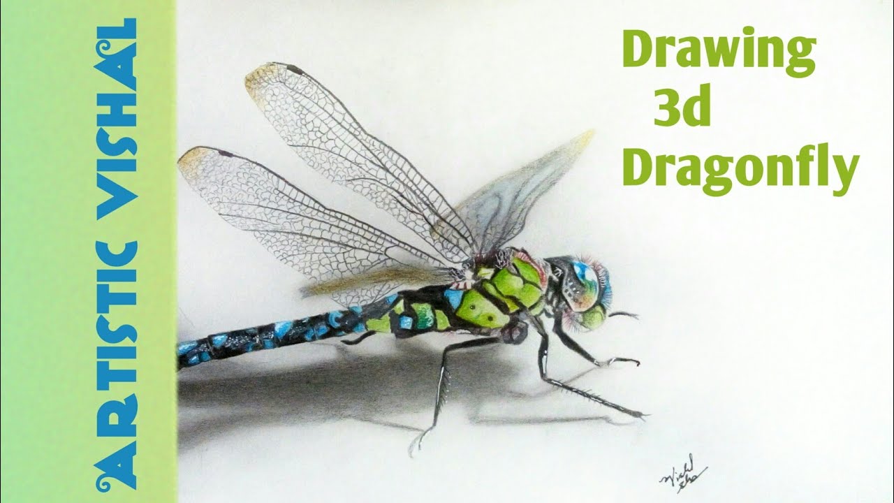 How to draw 3d drawing | Drawing Dragonfly | Hyperrealistic Drawing