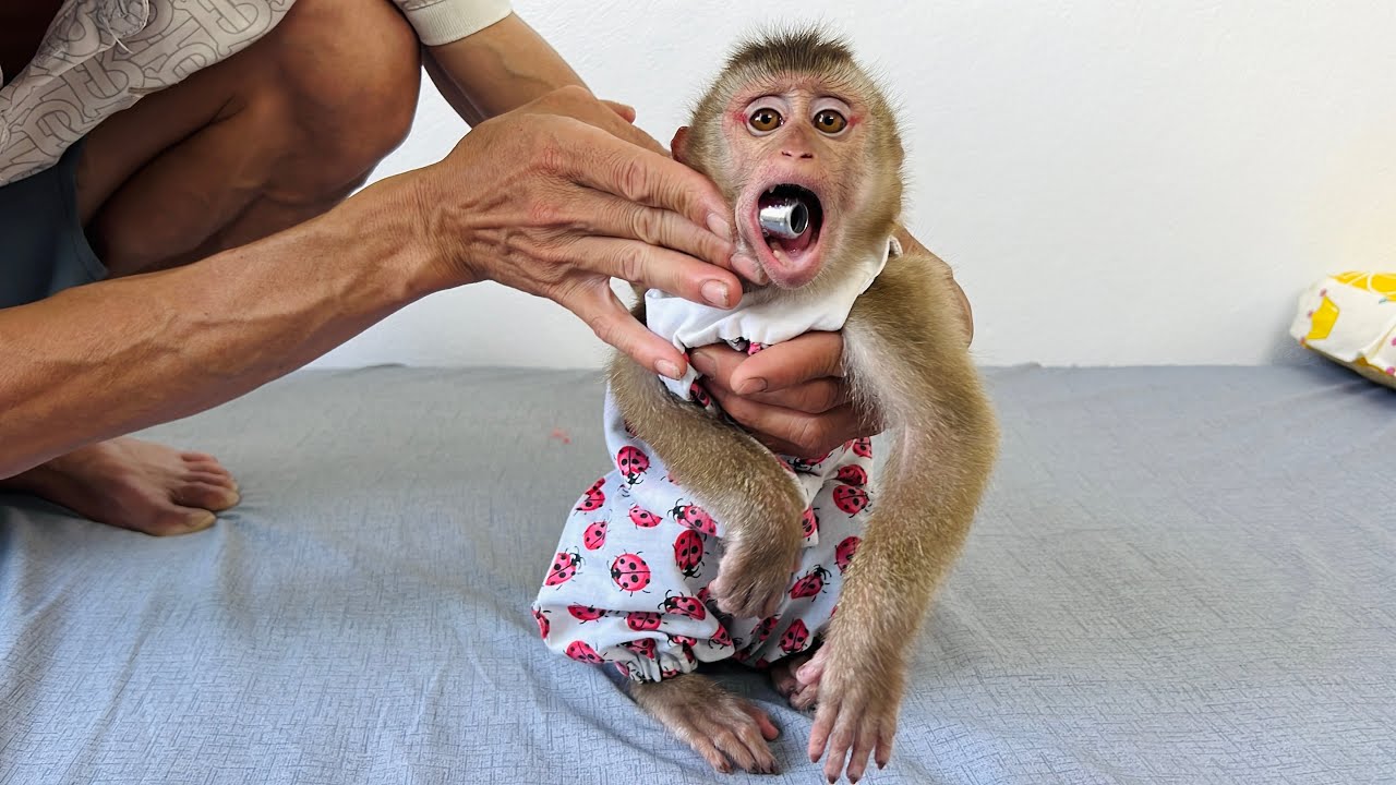 Dad helps Tina remove the foreign object from her mouth and the story unfolds. Let's watch.