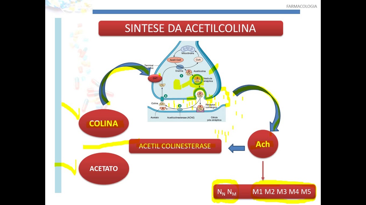 COLINÉRGICOS PARTE 1