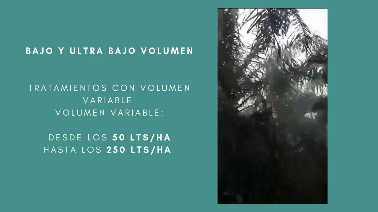 Tratamiento sostenible en Palma de Aceite. Nebulizadores electrost&aacute;ticos de bajo volumen Martignani.