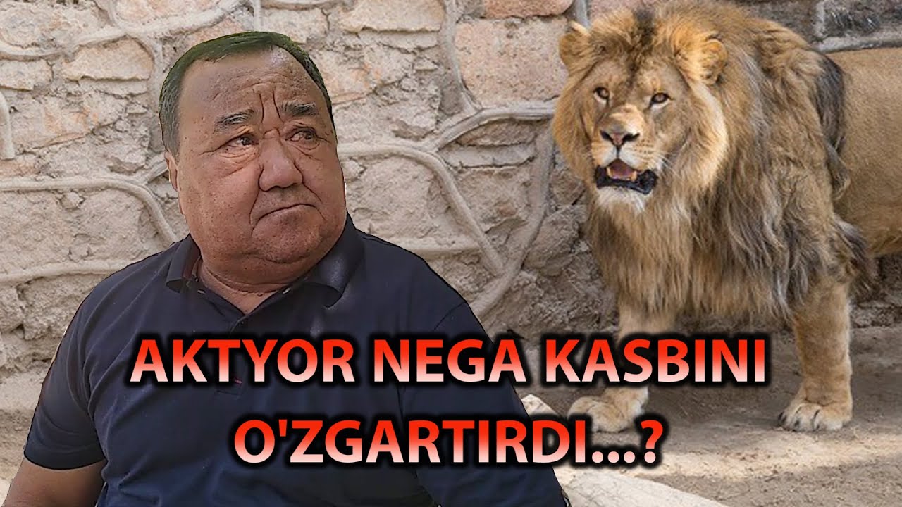 Kulgu bekati. 25 chertki