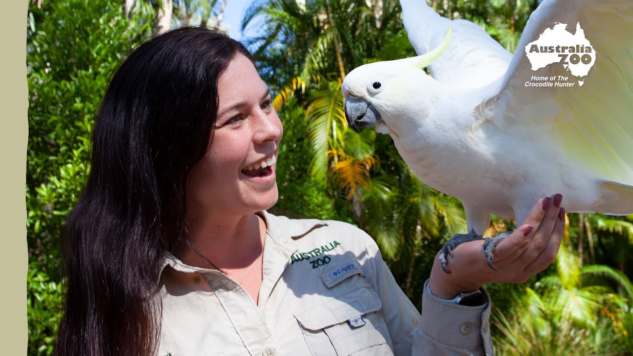Australia Zoo keepers dream | Australia Zoo Life