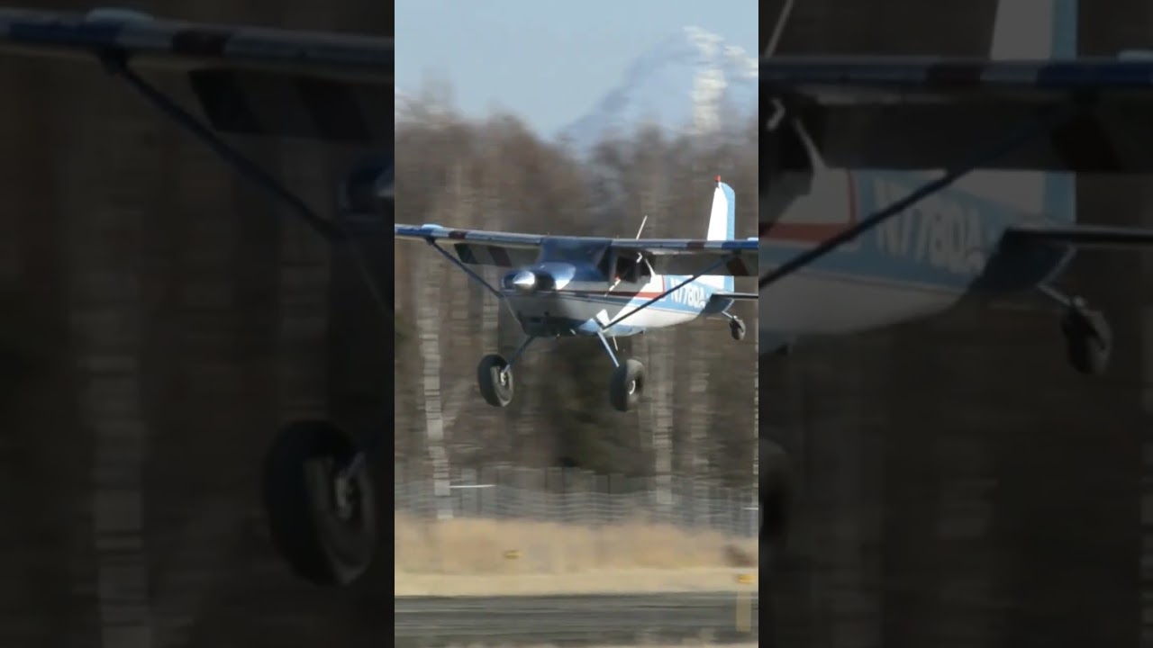 1957 cessna180 #taildragger #bushplane #aviation #alaska #aopa #airport #pilot #airplane #runway