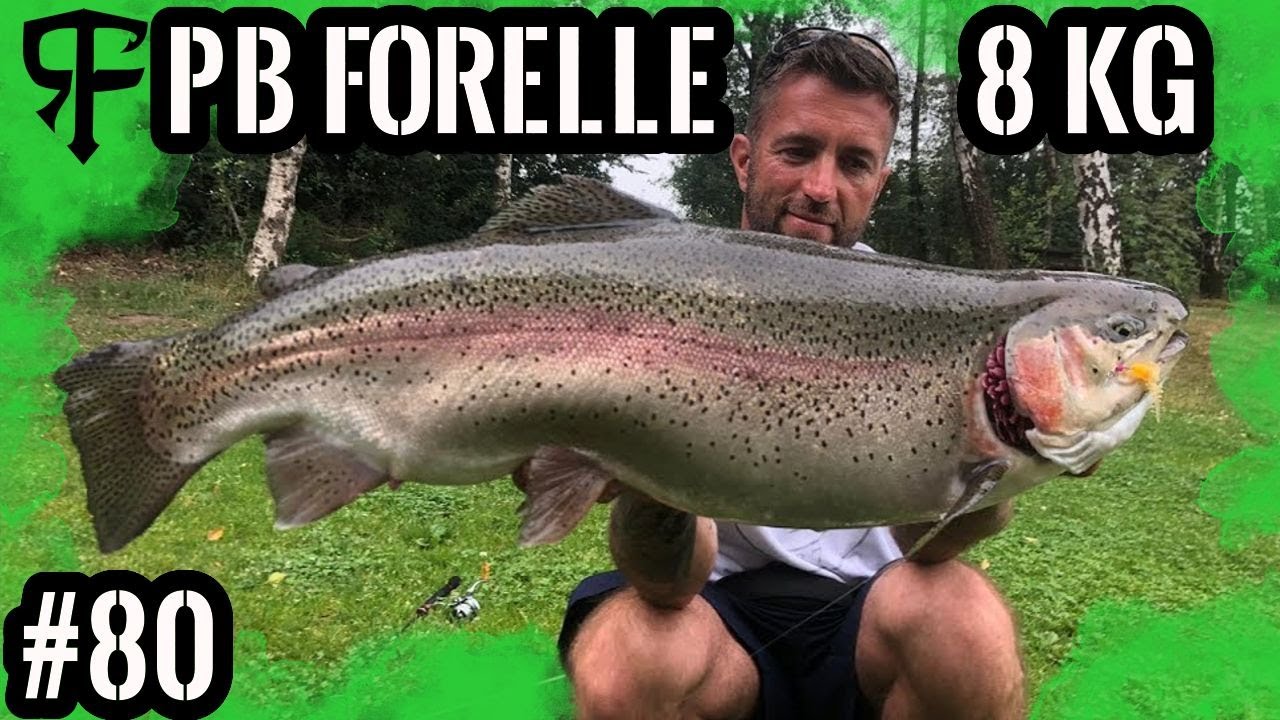Neuer PB, 8kg Forellen Xl Saiblinge und Monster Tigerforellen im Sommer #Spoon #ULfishing #Gummi
