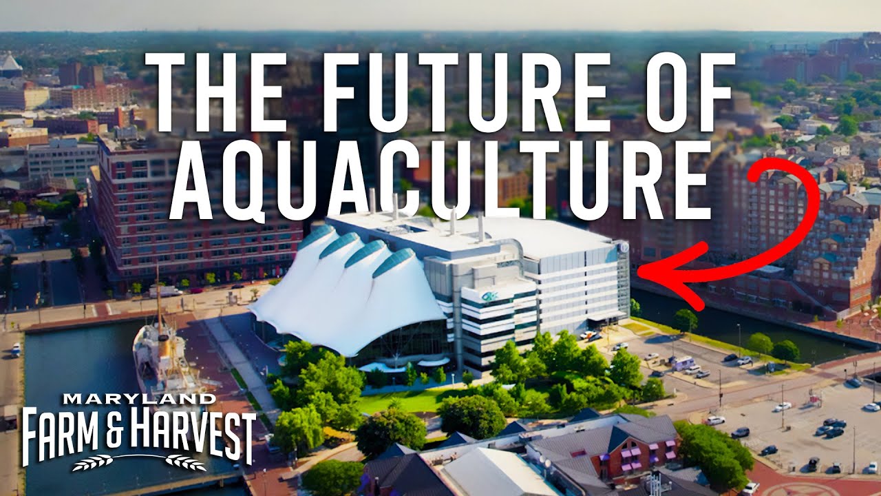 This Could Revolutionize Aquaculture in the US | Maryland Farm & Harvest