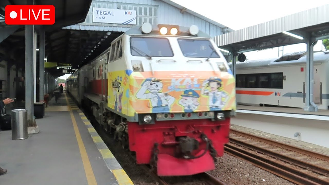 🔴 NONTON KERETA API SORE DI STASIUN TEGAL! KA Argo Anjasmoro, Menoreh, Kaligung, Tawang Jaya Premium