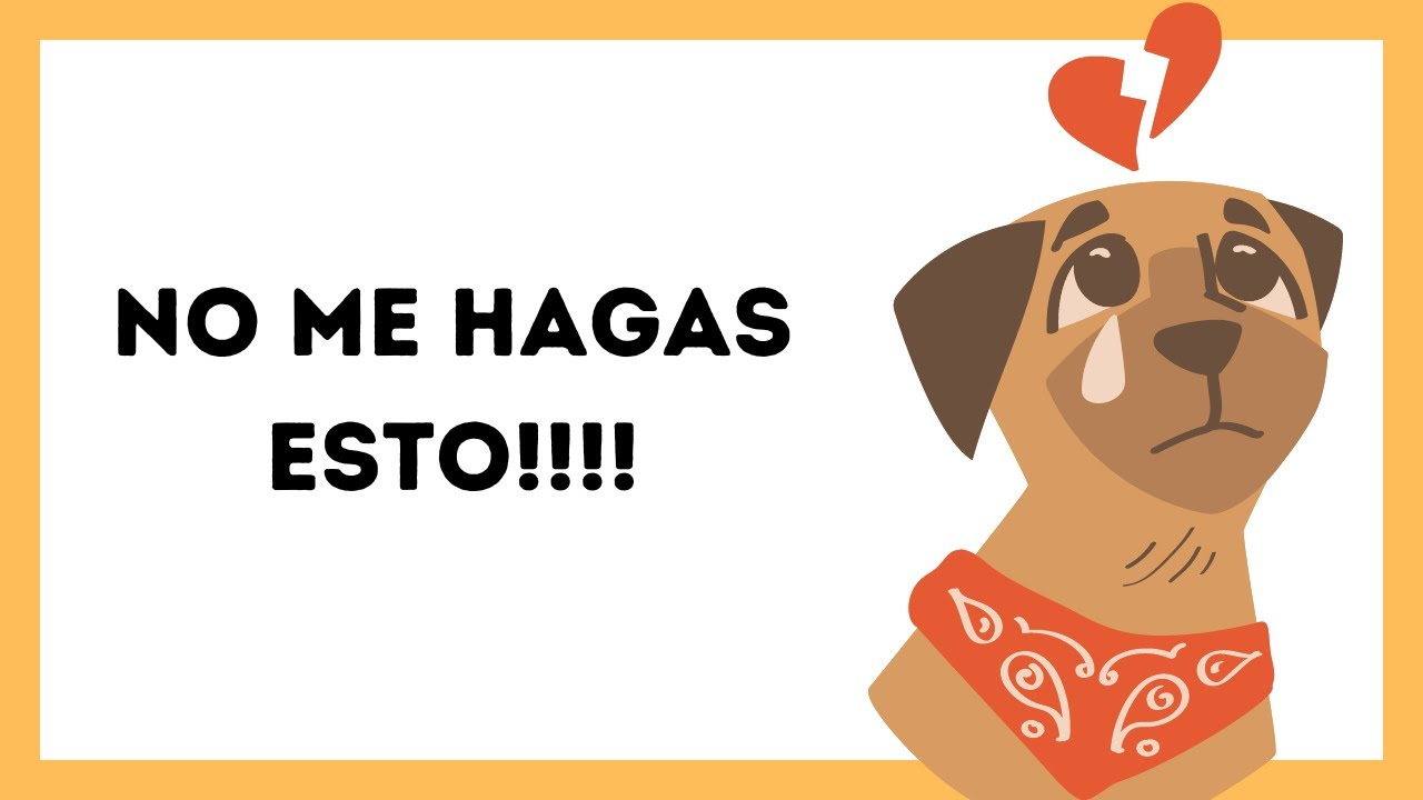 🟢 7 cosas que no le gustan a los perros que le hagan los humanos