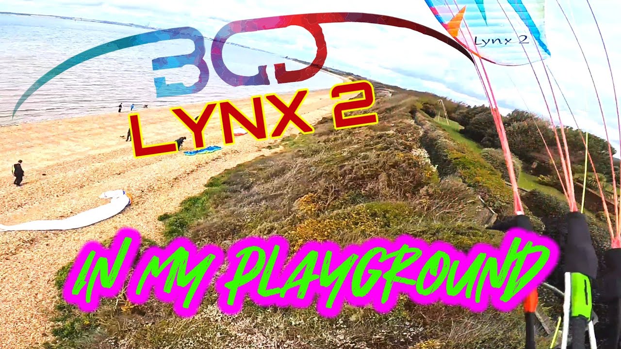 BGD Lynx 2 in my playground