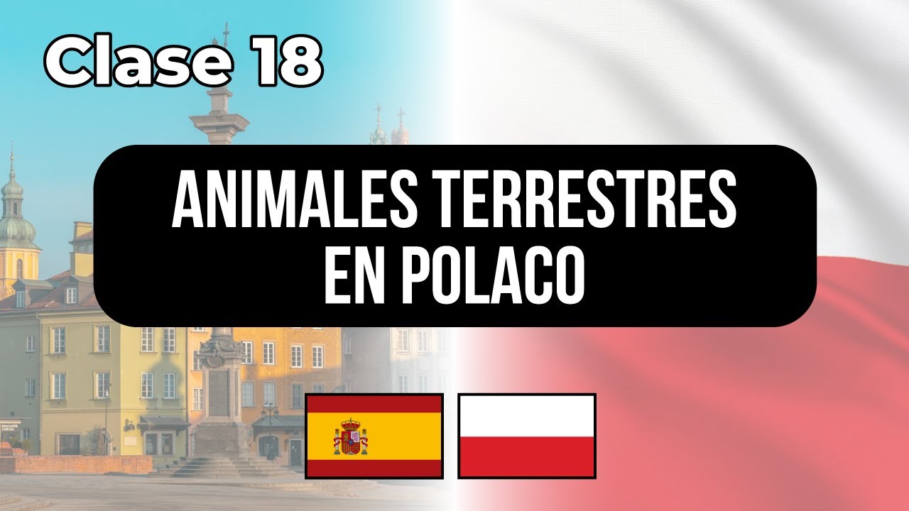 Animales terrestres en POLACO - Clase #18 👉 Lecciones para hispanohablantes