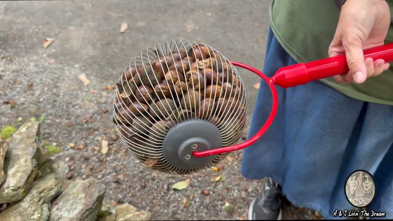 A & J Livin' The Dream Episode 454 Lots of meat, the woodpeckers