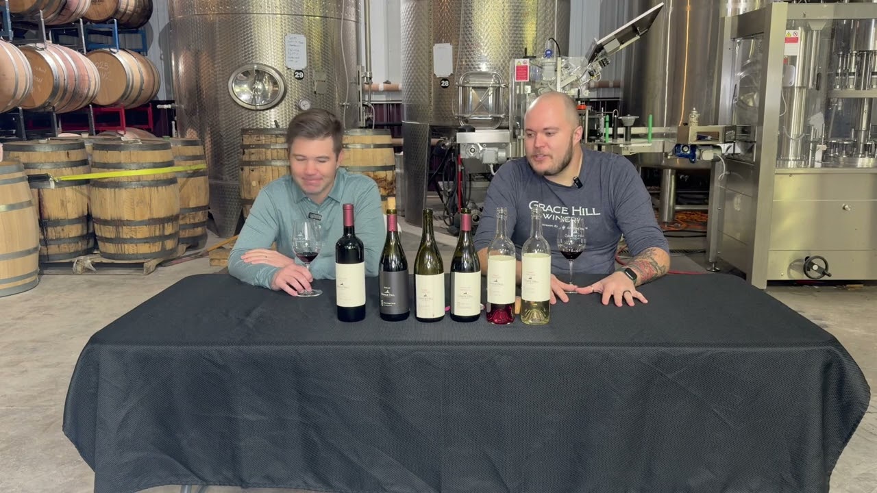 2024 Guest Grape Syrah Wine Explainer