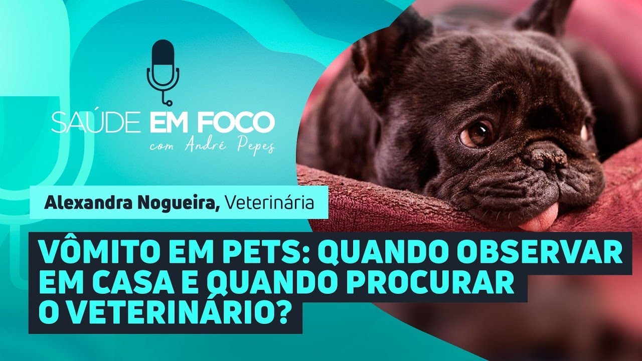 VÔMITO EM PETS: QUANDO OBSERVAR EM CASA E QUANDO PROCURAR O VETERINÁRIO? | Saúde em Foco Podcast