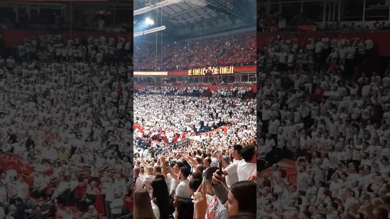 RED STAR BELGRADE-PARTIZAN BELGRADE serbian basketball derby#redstar#звезда#euroleague#serbia🇷🇸❤🤍🏀