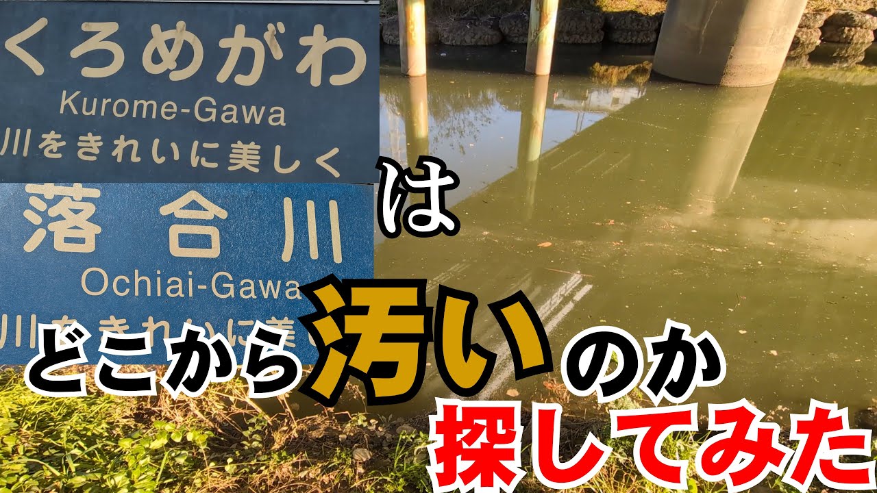 【二本立て】黒目川･落合川はどこから汚くなるのか探してみた