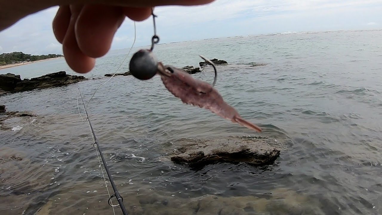 PESCARIA COM MICRO CAMARÃO JIG HEAD NA BEIRADA DA PRAIA, NO MEIO DAS PEDRAS, MUITO PRODUTIVA!