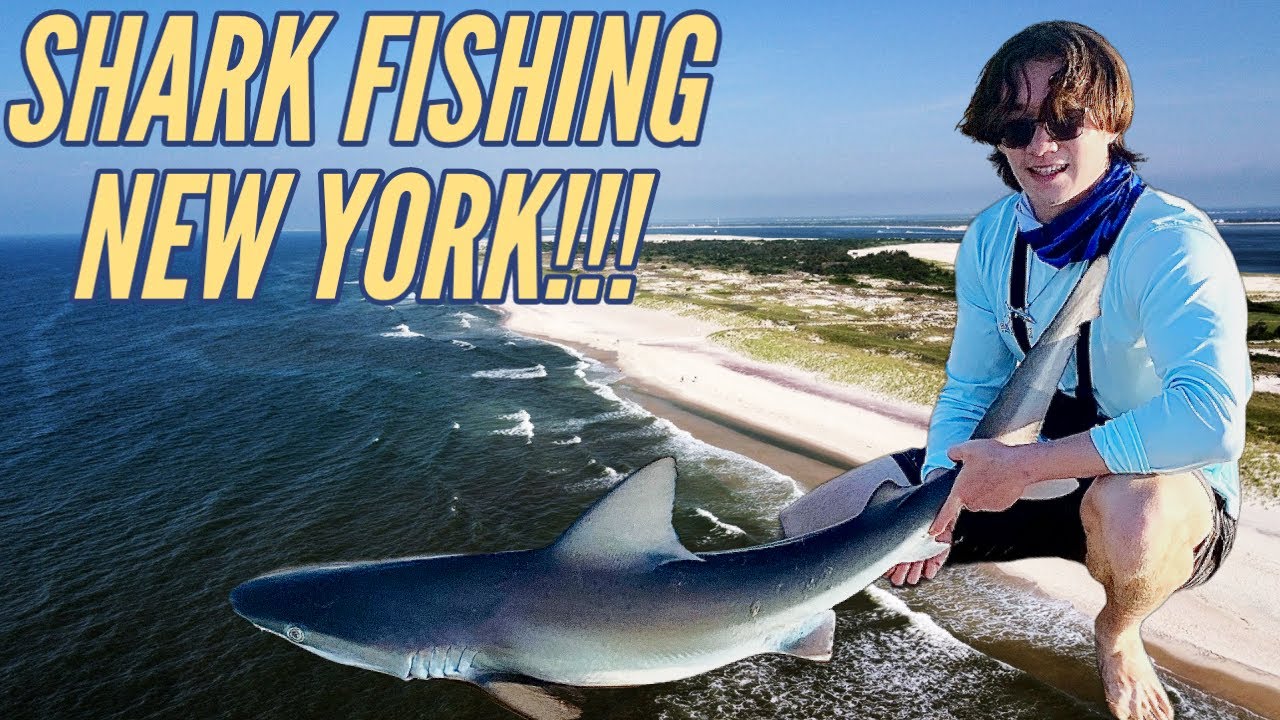SHARK FISHING South Shore of LONG ISLAND for Spinner Sharks!!!