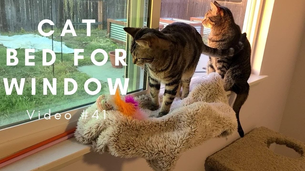 A Dentist Builds Window Stool Cat Perch