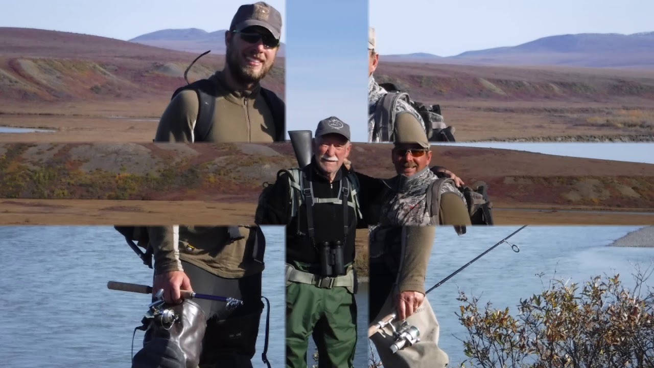 Alaska 2015 Brooks Range Caribou