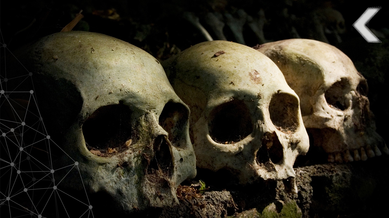 Everything Scientists Could Learn By Looking At Your Skull