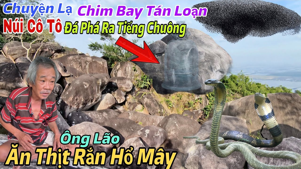Đầu Năm Núi Cô Tô Xuất Hiện Chuyện Lạ Chim Bay Đầy Trời, Tảng Phát Ra Tiếng Chuông Rắn Hổ Mây To Lớn