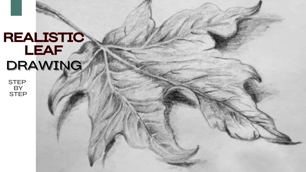 Leaf drawing step by step- Autumn leaves