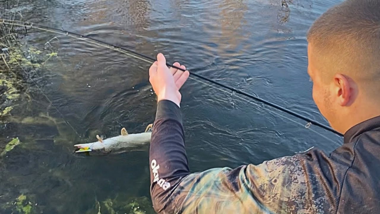 Pecanje štuke na silikonce. Malo jezero a velike ribe !