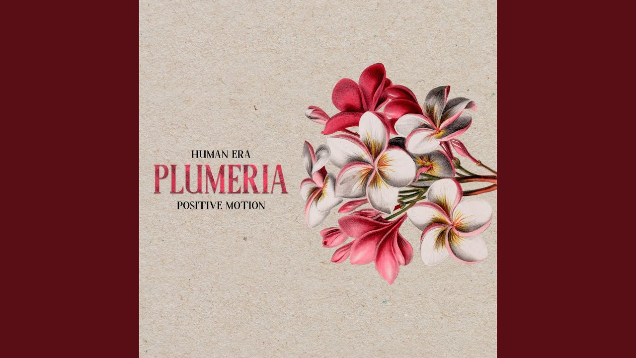 Plumeria