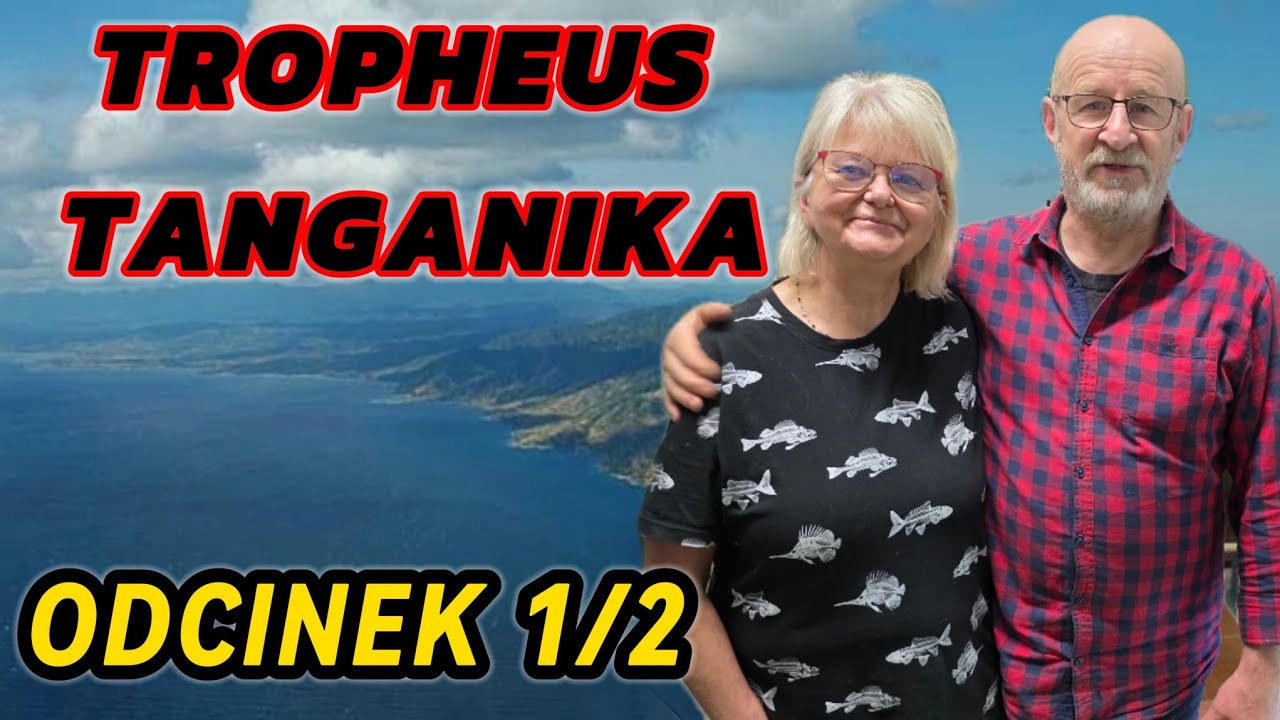 Tropheus Tanganika Odwiedziny u importera odcinek 1/2