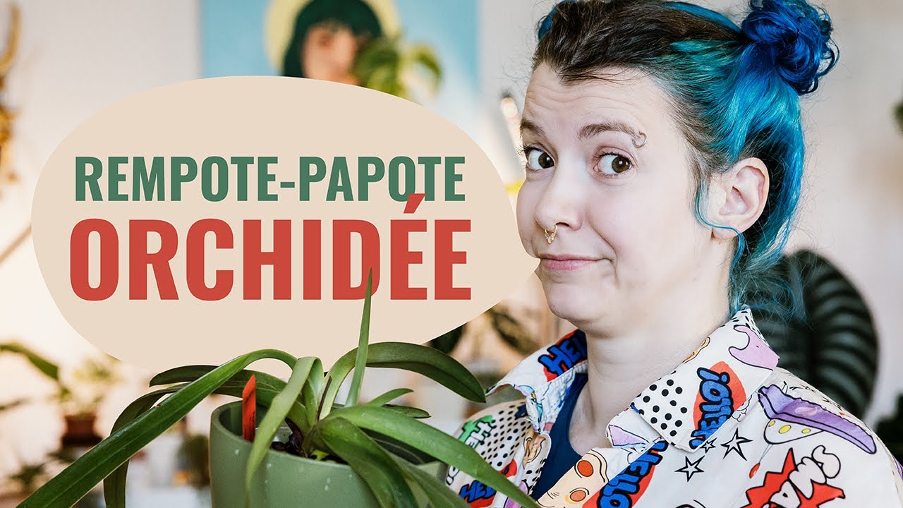 👩‍🌾 Rempoter une Orchidée en Hydroponie Passive en Pon 💦